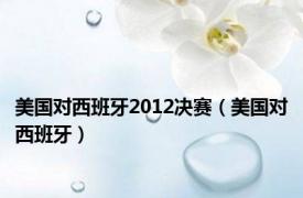 美国对西班牙2012决赛（美国对西班牙）