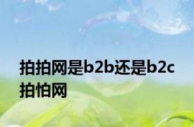 拍拍网是b2b还是b2c 拍怕网 