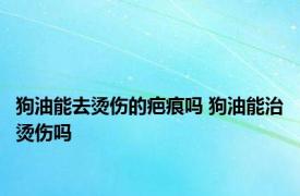 狗油能去烫伤的疤痕吗 狗油能治烫伤吗 