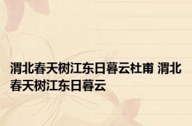 渭北春天树江东日暮云杜甫 渭北春天树江东日暮云 