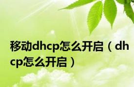 移动dhcp怎么开启（dhcp怎么开启）