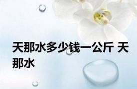 天那水多少钱一公斤 天那水 