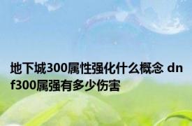 地下城300属性强化什么概念 dnf300属强有多少伤害 