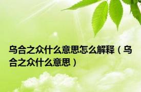 乌合之众什么意思怎么解释（乌合之众什么意思）