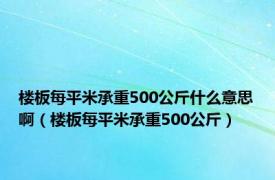 楼板每平米承重500公斤什么意思啊（楼板每平米承重500公斤）