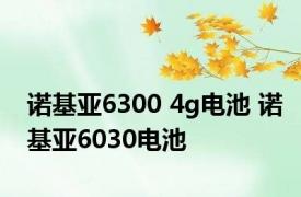 诺基亚6300 4g电池 诺基亚6030电池 