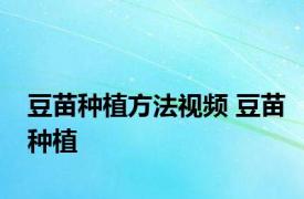 豆苗种植方法视频 豆苗种植 