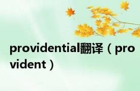 providential翻译（provident）