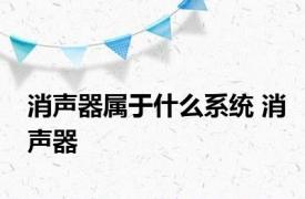 消声器属于什么系统 消声器 