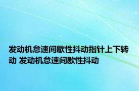 发动机怠速间歇性抖动指针上下转动 发动机怠速间歇性抖动 