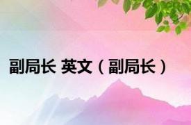 副局长 英文（副局长）