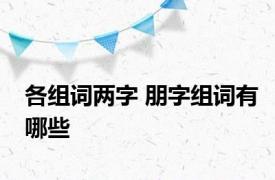 各组词两字 朋字组词有哪些 