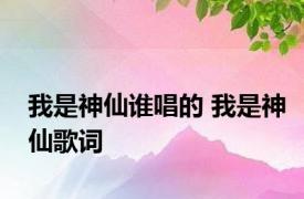 我是神仙谁唱的 我是神仙歌词 