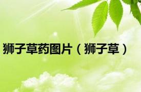 狮子草药图片（狮子草）