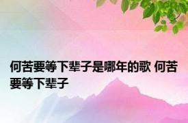 何苦要等下辈子是哪年的歌 何苦要等下辈子 