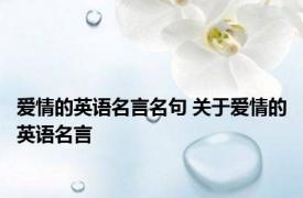 爱情的英语名言名句 关于爱情的英语名言 