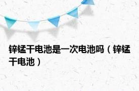 锌锰干电池是一次电池吗（锌锰干电池）