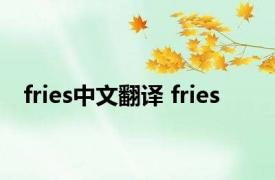 fries中文翻译 fries 