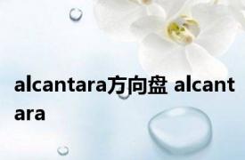 alcantara方向盘 alcantara 