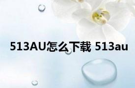 513AU怎么下载 513au 