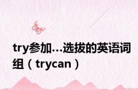 try参加…选拔的英语词组（trycan）