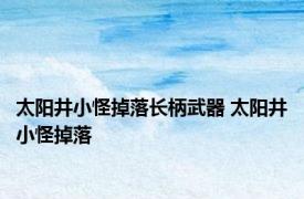 太阳井小怪掉落长柄武器 太阳井小怪掉落 