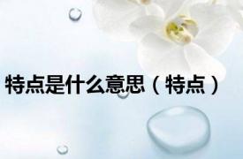 特点是什么意思（特点）