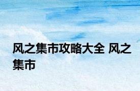 风之集市攻略大全 风之集市 