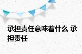 承担责任意味着什么 承担责任 