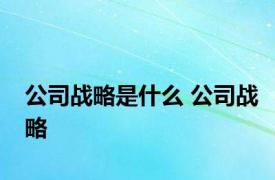 公司战略是什么 公司战略 