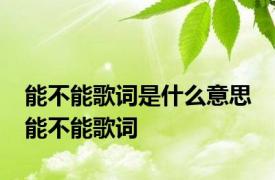 能不能歌词是什么意思 能不能歌词 