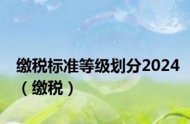 缴税标准等级划分2024（缴税）