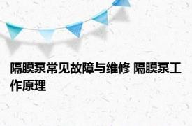 隔膜泵常见故障与维修 隔膜泵工作原理 