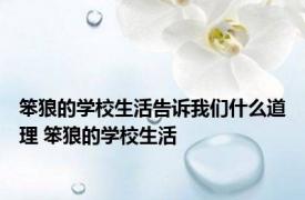 笨狼的学校生活告诉我们什么道理 笨狼的学校生活 