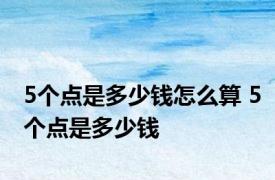 5个点是多少钱怎么算 5个点是多少钱 