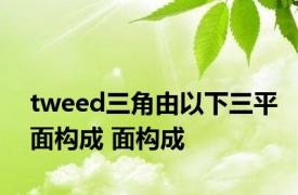 tweed三角由以下三平面构成 面构成 