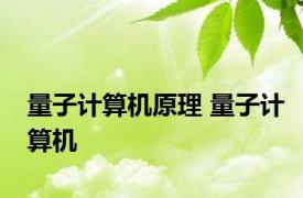 量子计算机原理 量子计算机 