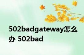 502badgateway怎么办 502bad 