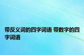 带反义词的四字词语 带数字的四字词语 