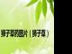 狮子草药图片（狮子草）