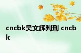 cncbk吴文辉判刑 cncbk 