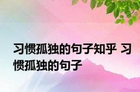 习惯孤独的句子知乎 习惯孤独的句子