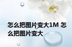 怎么把图片变大1M 怎么把图片变大 