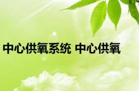 中心供氧系统 中心供氧 