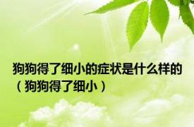 狗狗得了细小的症状是什么样的（狗狗得了细小）