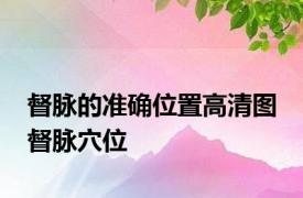 督脉的准确位置高清图 督脉穴位 