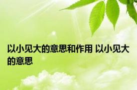 以小见大的意思和作用 以小见大的意思 