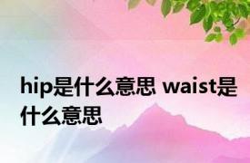 hip是什么意思 waist是什么意思 