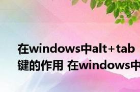 在windows中alt+tab键的作用 在windows中 