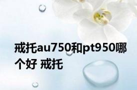 戒托au750和pt950哪个好 戒托 